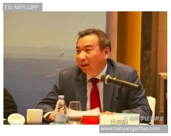 南京乒乓球队逆袭世锦赛的辉煌历程与奋斗精神展现